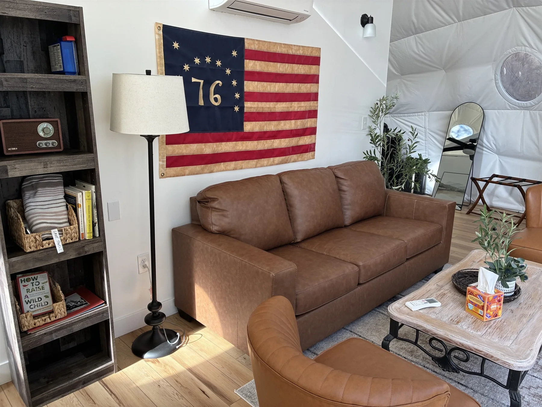 Living area with sofa, chair, bookshelves and dome interior