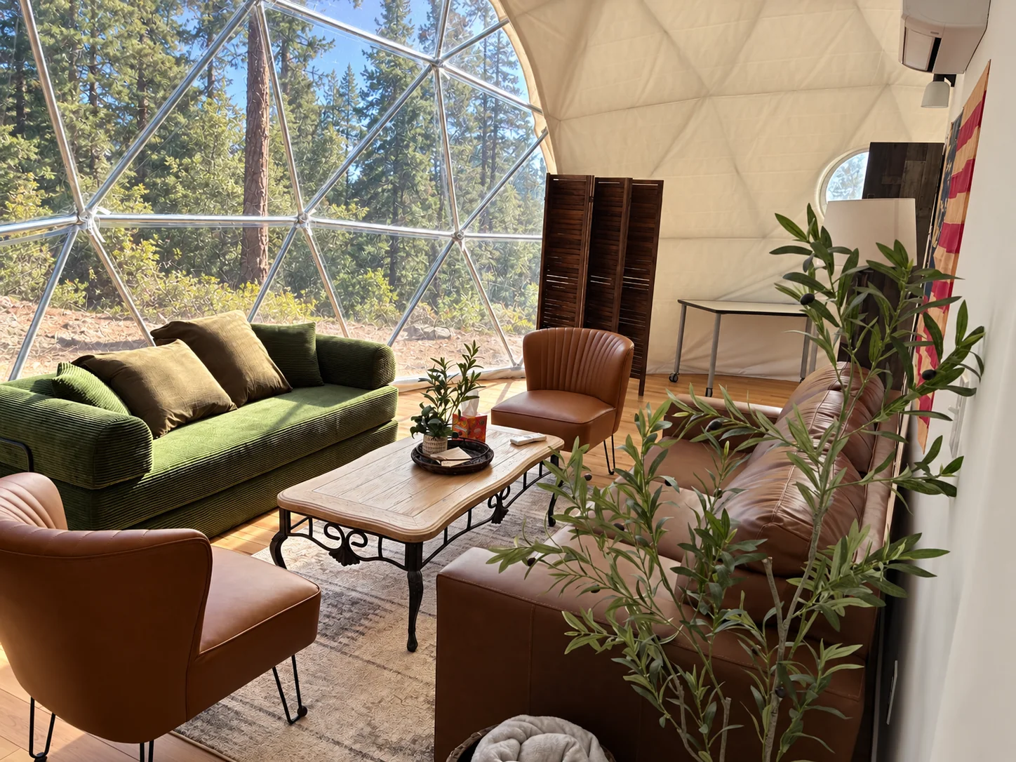 Living area with green sofa and floor-to-ceiling pine-tree view