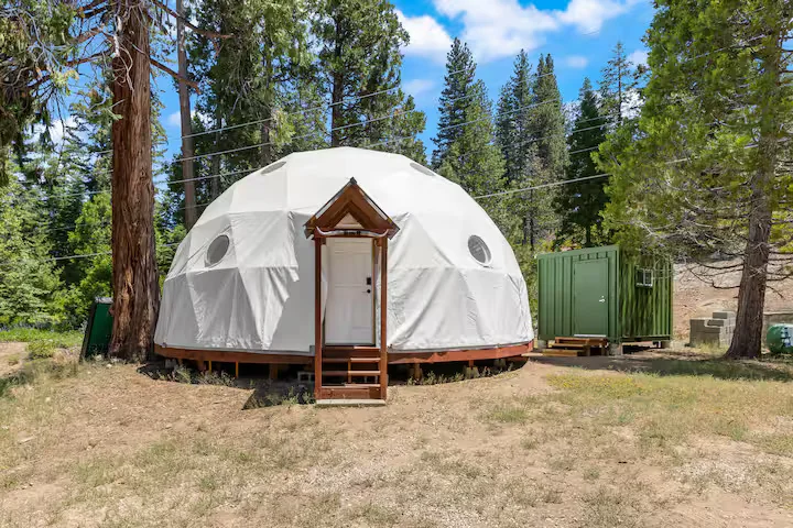 Dome surrounded by tall trees